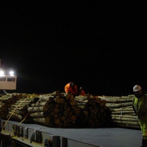 on deck at night